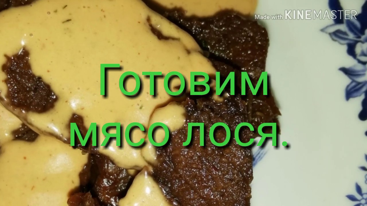 Сколько варить лося. Как вкусно приготовить лося.