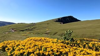 Doğa İçin Vakittir Sis Dağı Yaylası Özel Görüntüler Ve Gizli Şelale