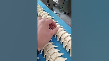 Triple-Channel Dumpling Making Machine Review - 10,000 Dumplings/Hour