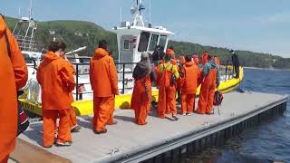 Whale Watching Trip, Tadoussac, May 2022