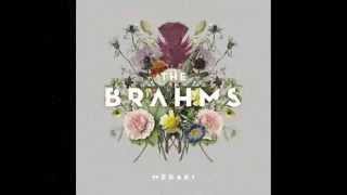 Video thumbnail of "The Brahms - Homerun"