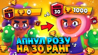 ЛЮТАЯ ИМБА! 🥳АПНУЛ РОЗУ НА 30 РАНГ В СОЛО ШД