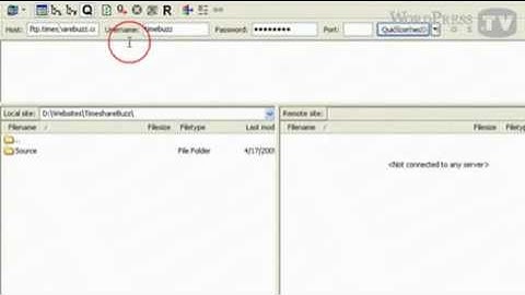 How to Edit WordPress Theme CSS Styles