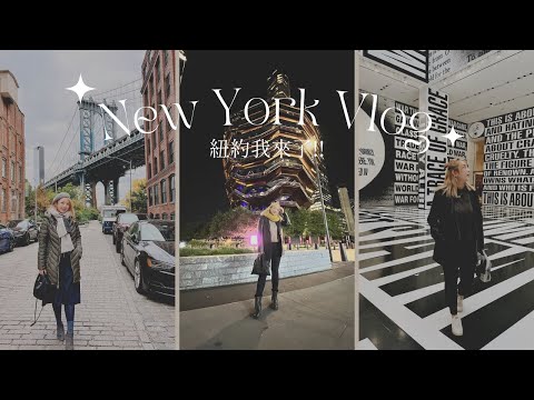 NYC Vlog：相隔7年重回紐約 逛MoMA、中央公園 超大風穿高跟鞋走Brooklyn Bridge、解鎖Dumbo區必到打卡點、看NBA球賽、感受紐約秋天 | Anne姐 楊繹霏