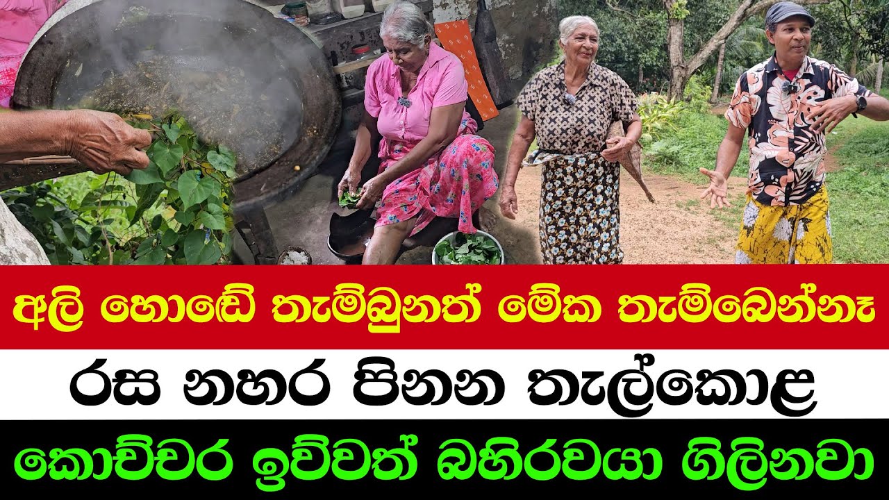 You Won’t Believe How Tasty This Sri Lankan Food Is!”