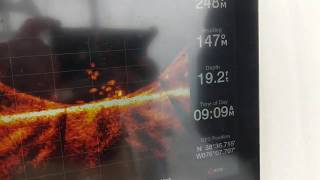 Livescope Rock The Choptank 2019