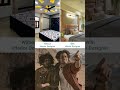The Design Hive| Choose Wisely: Interior Designer &amp; Contractor team  #shorts #interiordesignmumbai