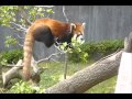 福井西山動物園 の動画、YouTube動画。