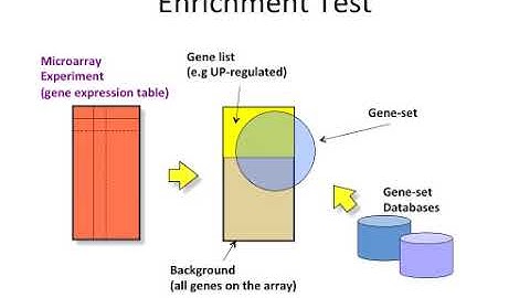 Finding Over-represented Pathways in Gene Lists