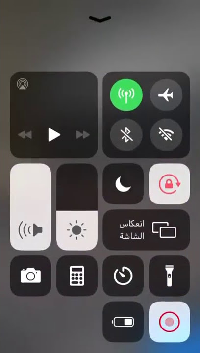 قط دخل سيارة واحد شوفوا وش سوا فيها 😂.