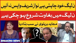 PMLN Khud Chahti Hai Nawaz Sharif Wapas Na Aye | Mujahid Braveli | Fiza Akbar Khan