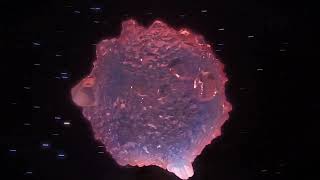 Substance Designer Rocks in Houdini/Redshift
