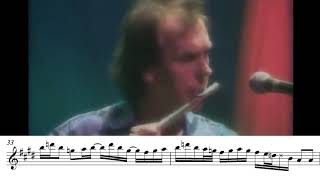 Play video: I Talk to the Wind-Flute transcription of the Ian Mcdonald Solos (King Crimson)