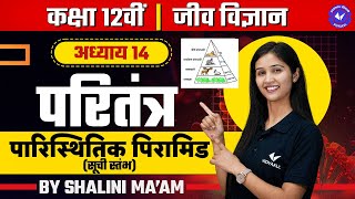पारिस्थितिक पिरामिड (सूची स्तंभ) (L-4) | परितंत्र | Class 12th Biology Chapter 14 by Shalini Maam