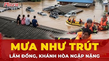 Mưa như trút xuống Lâm Đồng, Khánh Hòa: Đất đá sạt lở, nước cuốn trôi nhiều tài sản | Tin nhanh