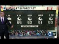 First Alert Weather Extra: Wildlife vs. Weather with Yellow Jackets!