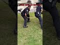 This Coyote Couldn't Escape...