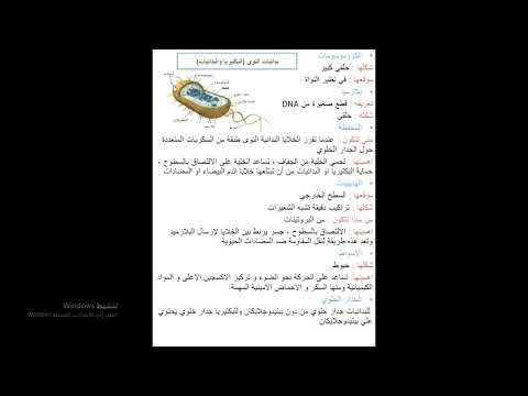 جميع مايخص البكتيريا في اقل من ساعة