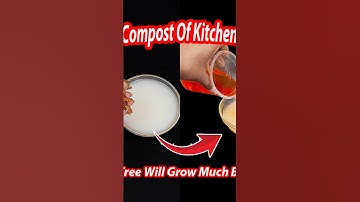 Plant Power Potion ||Easy homemade fertilizer recipe ||Liquid fertilizer that works //#shortsvideos