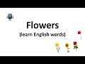 English vocabulary (flowers)