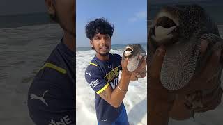 full video uploaded #kadalsulthan #fishing