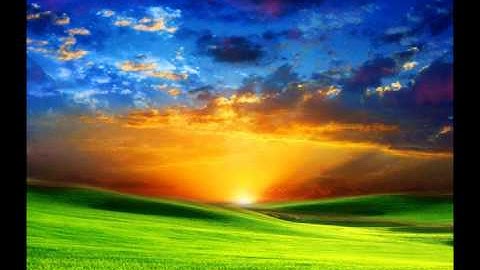 سورة الليل - ابوبكر الشاطري