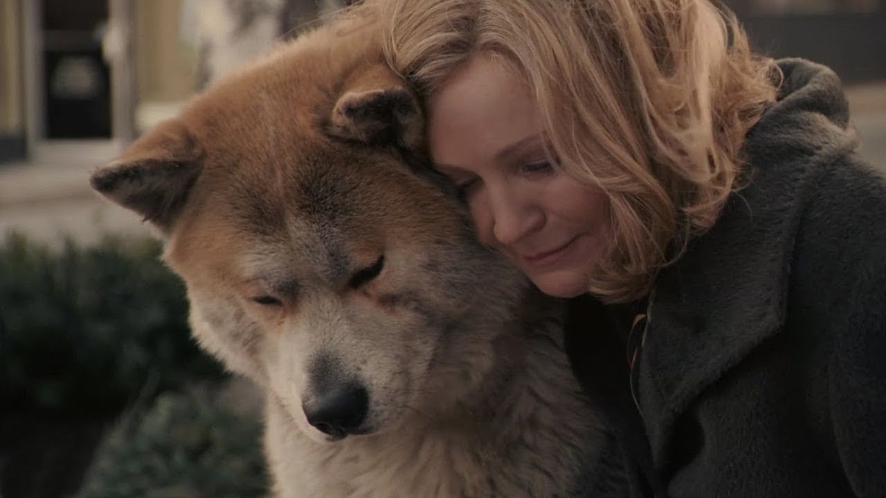 多年后重温《忠犬八公》，这些镜头又让我哭瞎了，不敢多看一遍！