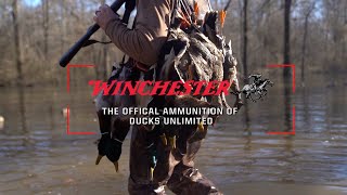 Celebrating 85 Years of Ducks Unlimited