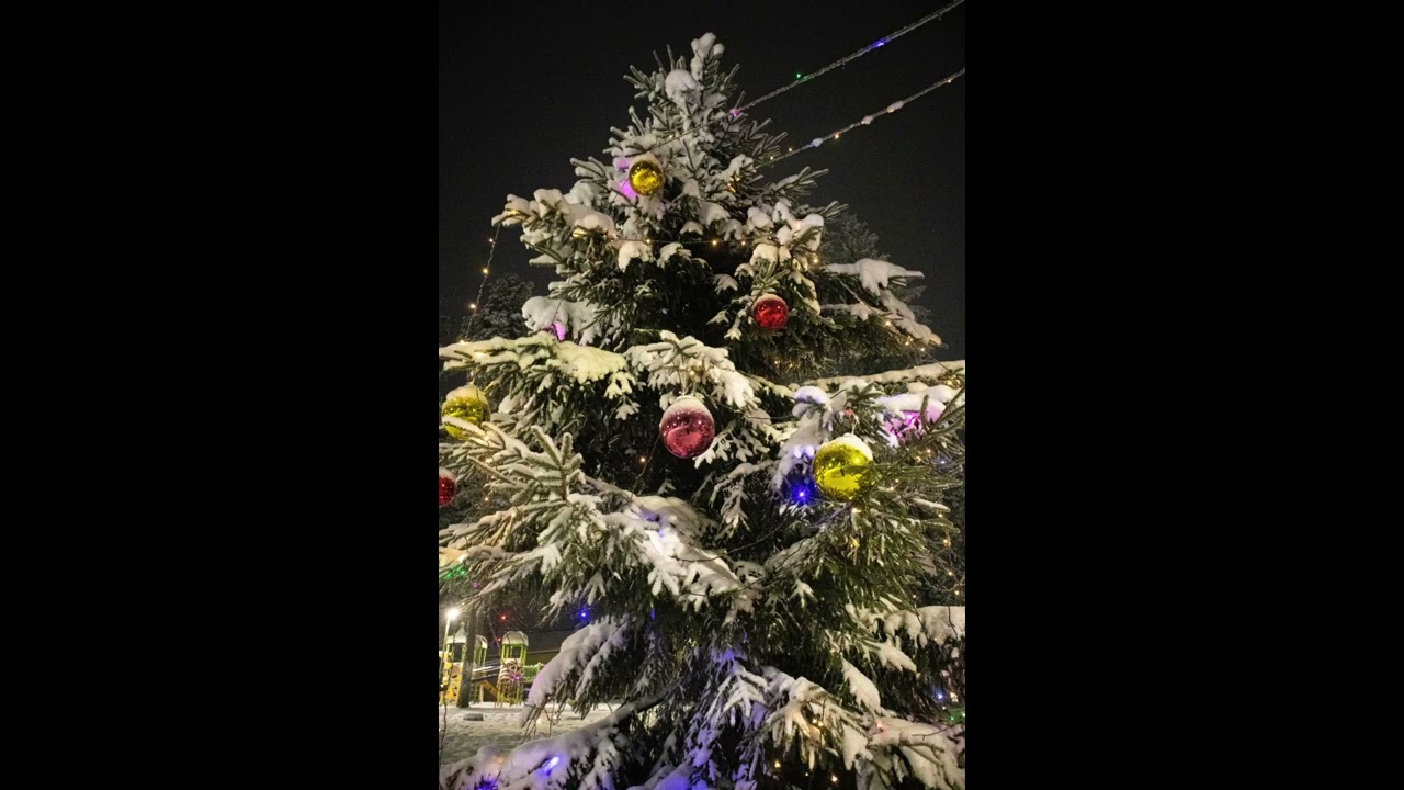 Алкогольный новый год.