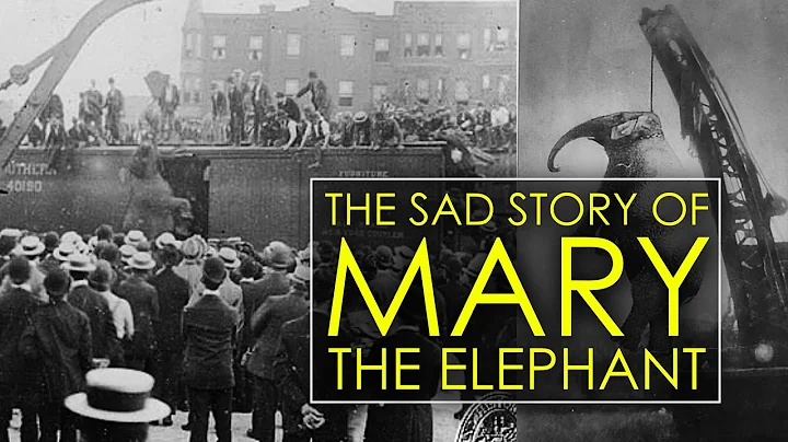 The Day An Elephant Was Hanged To Death | Murderou...