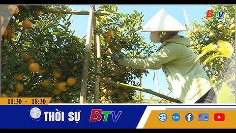 Sản xuất hữu cơ - Hướng đi bền vững