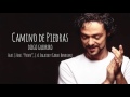 Camino de Piedras - Diego Guerrero feat. Petete, Juan Antonio Salazar, Carles Benavent (Album Audio)