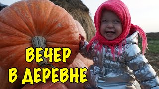 ОСЕННИЙ ВЕЧЕР В ДЕРЕВНЕ. Уход за домашним хозяйством. Влог про жизнь в деревне