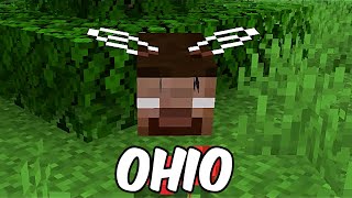 Minecraft Tapi di OHIO