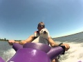 Dog on a jet ski