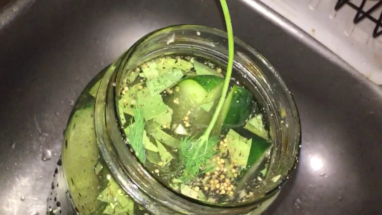 Dill pickles/homemade pickles/New York Dill Pickles YouTube