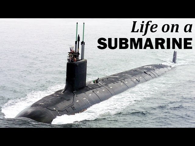the submariners