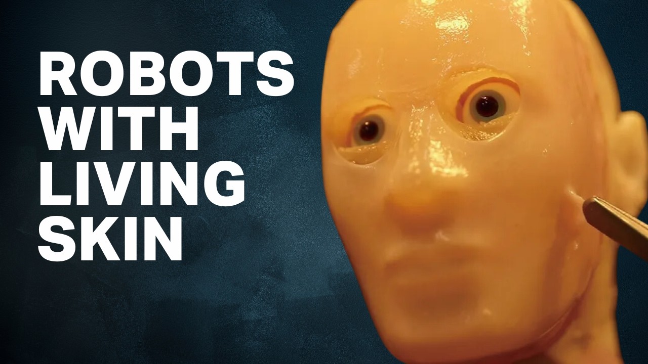 These robots with living skin are absolute nightmare fuel | TechCrunch Minute