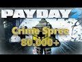 Payday 2 - Birth of Sky [83.000+ Crime Spree] Solo (with Ai)