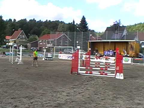 Video: Åbn Bredt! Tandhygiejne For Heste