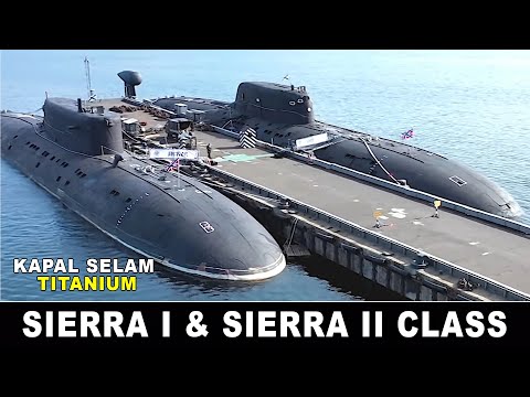 Video: Pipa dan cincin