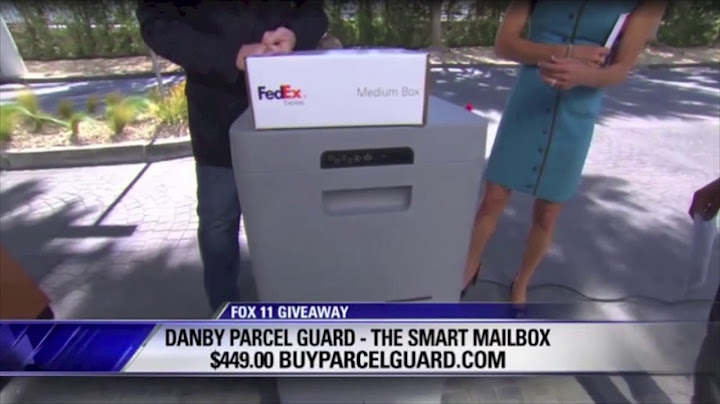 Dr. Gadget introduces the Danby Parcel Guard on Fox LA