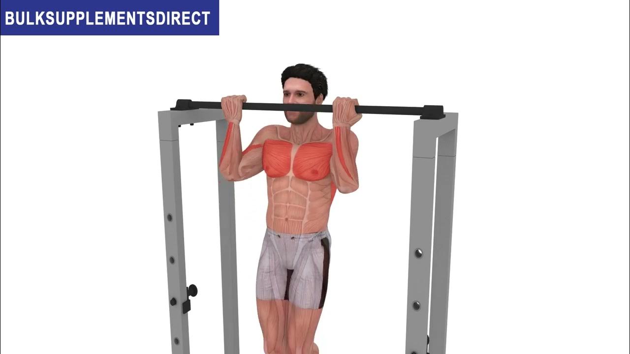 How To Do Chin Ups Short Head Bicep Exercises YouTube