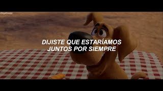 Avicii - Without You ft. Sandro Cavazza (Subtitulado al español) ¡Scooby!