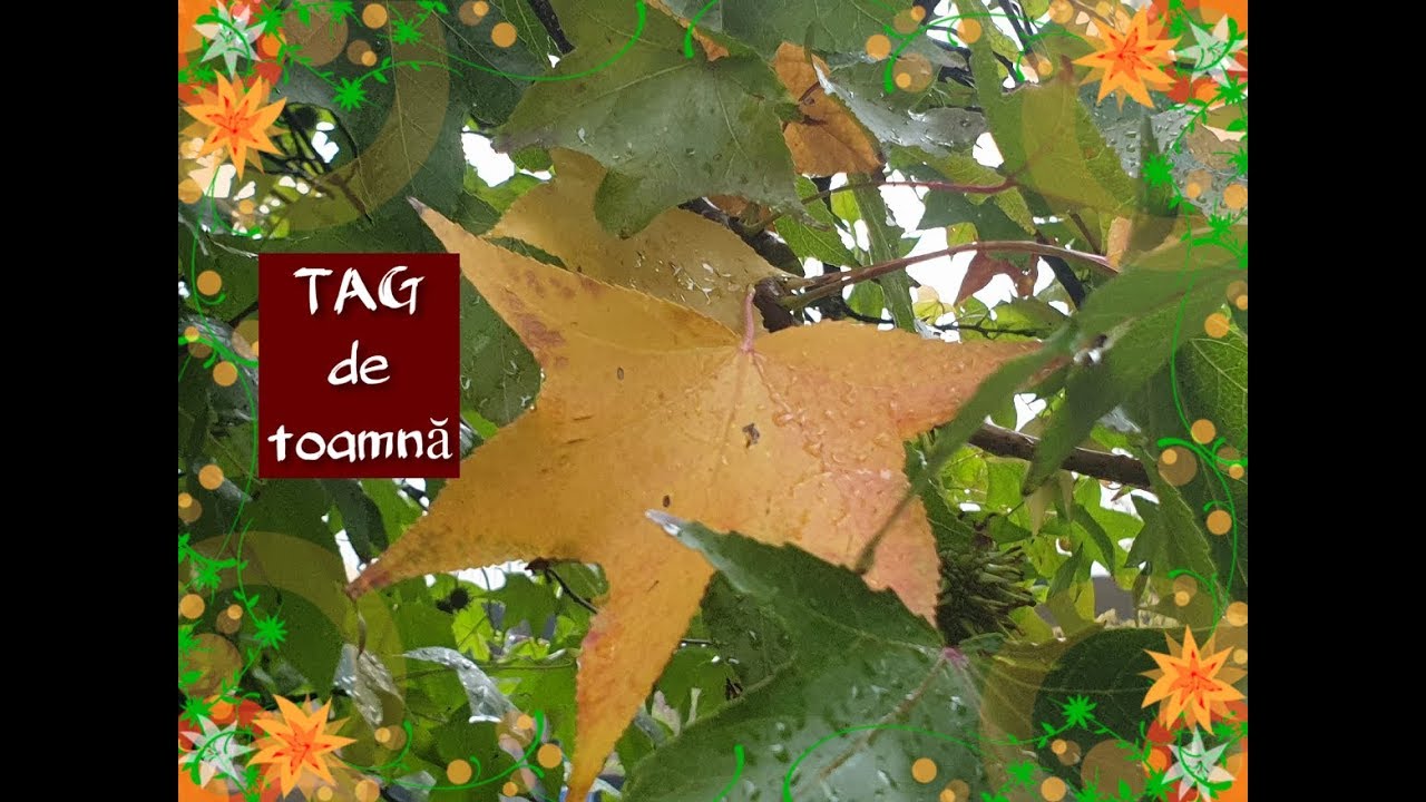 TAG de toamnă families for children