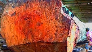 Sawing The Largest Wood In The World Is Very Dangerous Sawmill