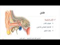 أعضاء الحواس الأذن والجلد التشريح العام للسنة التحضيرية 