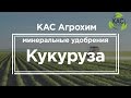 КАС АГРОХИМ -  Минеральные удобрение - кукуруза