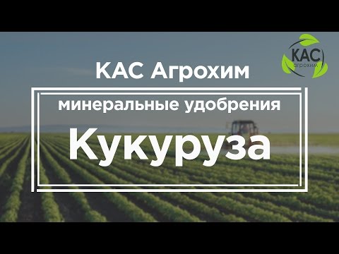 КАС АГРОХИМ - Минеральные удобрение - кукуруза