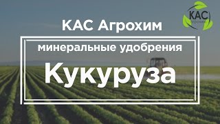 КАС АГРОХИМ -  Минеральные удобрение - кукуруза